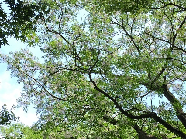 f0364707_22311348.jpg