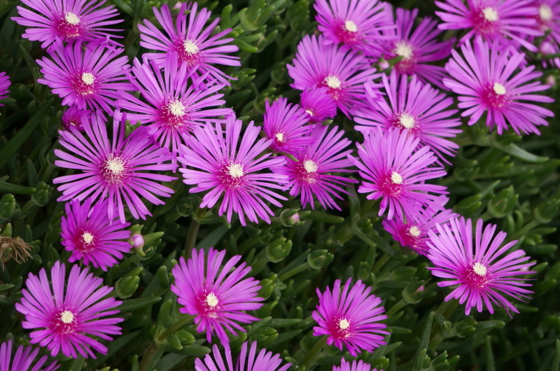 d0359010_16215643.jpg