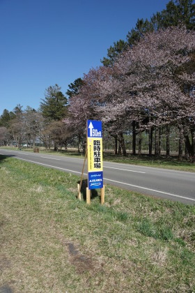 静内二十間道路の桜まつりから！です！_d0200811_21263736.jpg