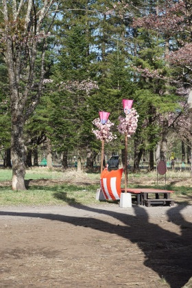 静内二十間道路の桜まつりから！です！_d0200811_21380335.jpg