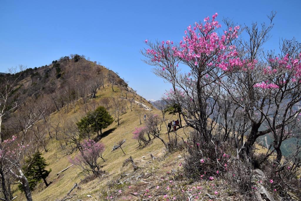 2017/5/21 足尾アルプス（中倉山・沢入山）_a0340812_11110029.jpg