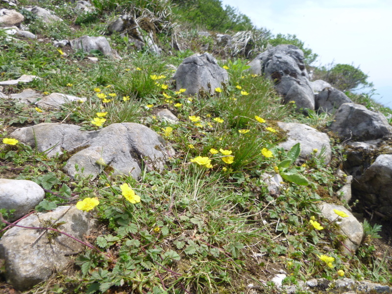 d0170615_10361184.jpg