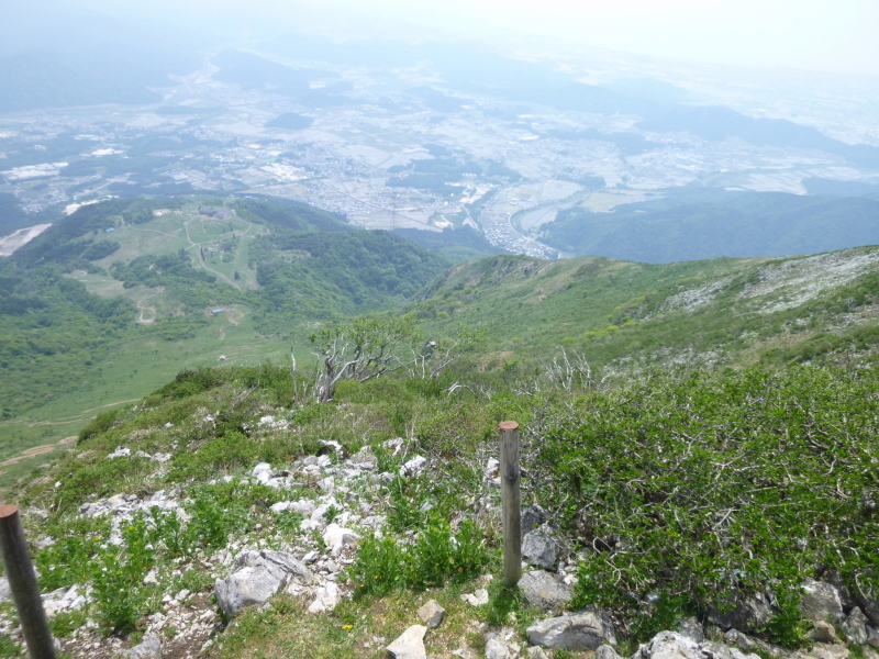 d0170615_10362272.jpg