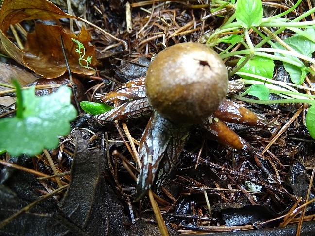 f0360815_16151116.jpg