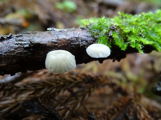 f0360815_16151227.jpg