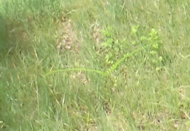 b0181818_20043037.jpg