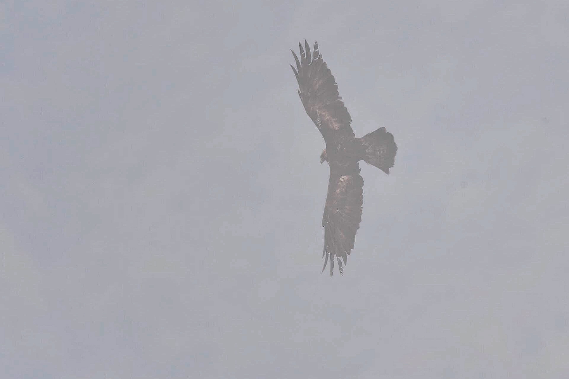 f0288418_23311570.png