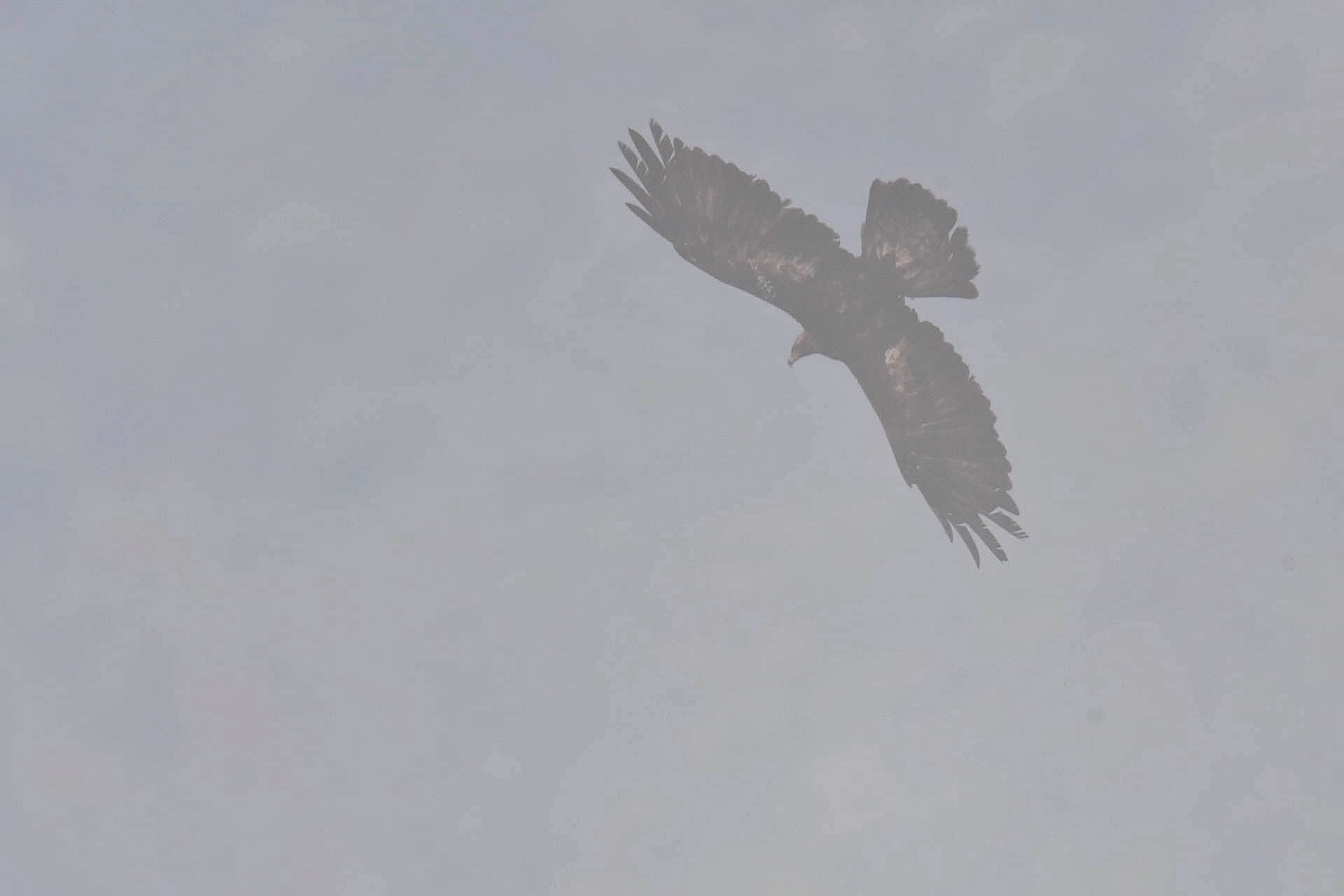 f0288418_23314210.png