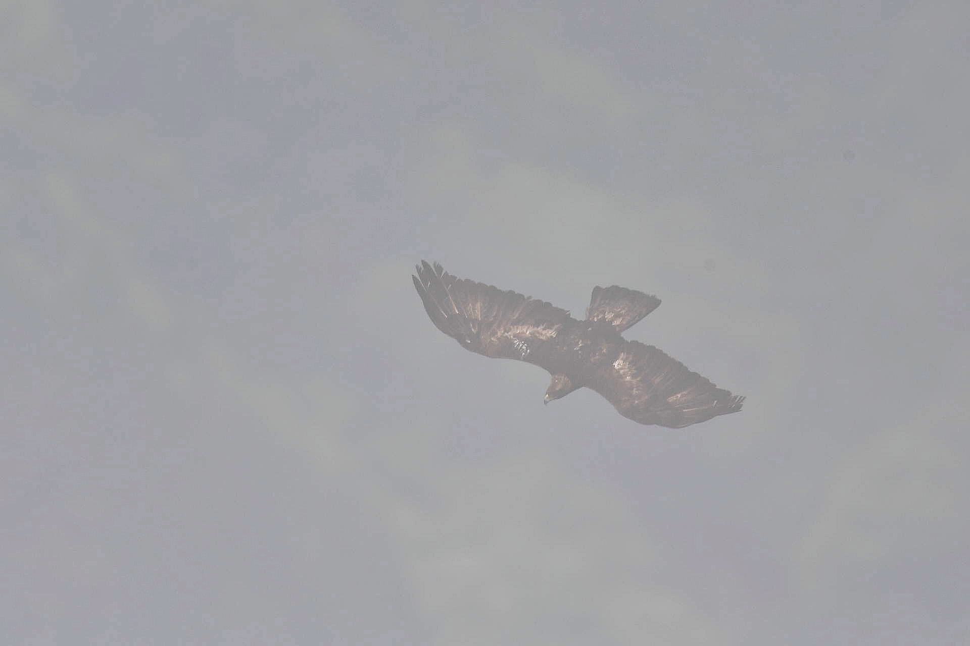 f0288418_23320178.png