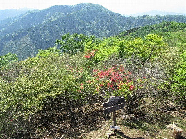 桐生市　桐生川源流の根本山で渓流美とラブリーな尾根歩き　　　　　Mount Nemoto in Kiryū, Gunma　_f0308721_21111820.jpg