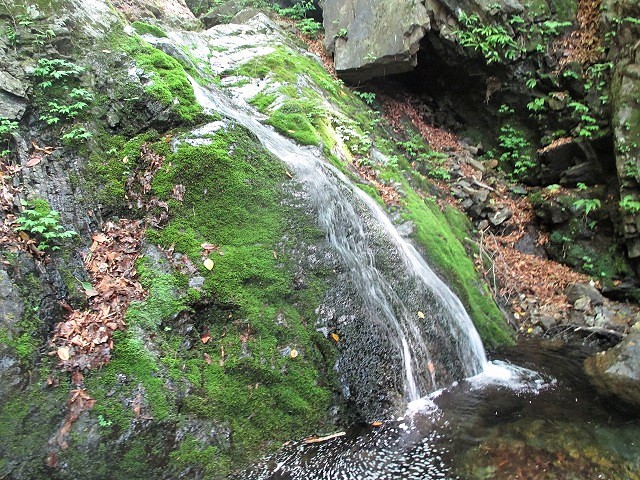 桐生市　桐生川源流の根本山で渓流美とラブリーな尾根歩き　　　　　Mount Nemoto in Kiryū, Gunma　_f0308721_2142721.jpg