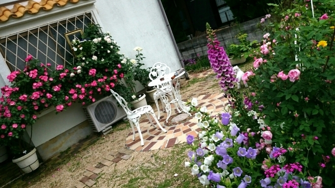 e0263224_22035157.jpg
