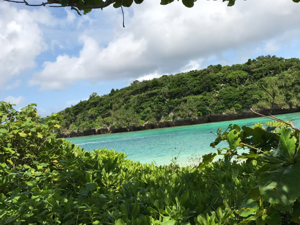 いのちの洗濯〜石垣島〜八重島諸島‼︎_c0220928_20141800.jpg