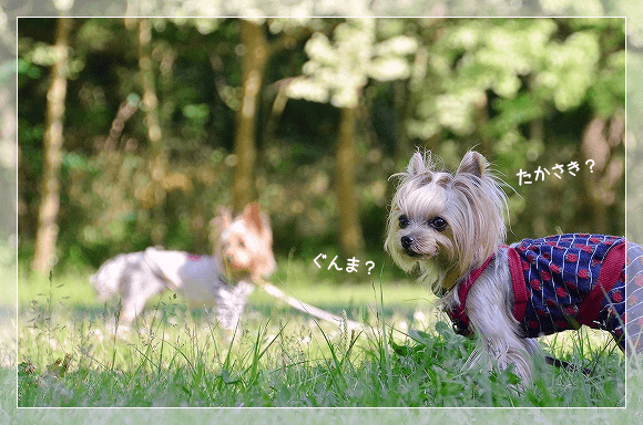 d0179828_07131800.png