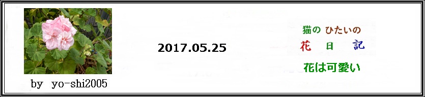 e0033229_1743998.jpg