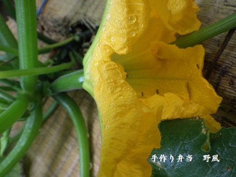 b0244034_17350311.jpg