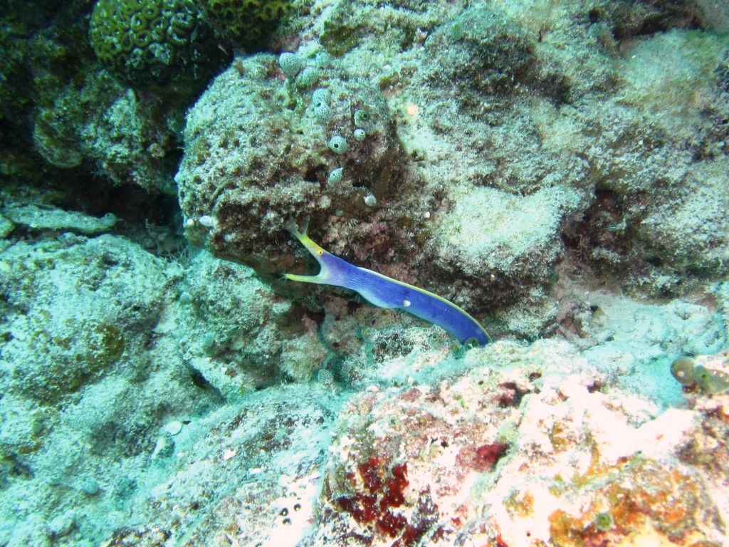 a0189838_17233766.jpg