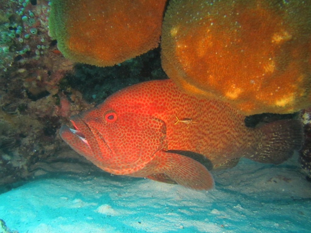 a0189838_17260314.jpg
