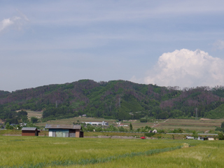 a0014840_3245485.jpg