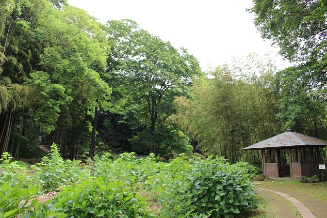 d0296341_09204960.jpg