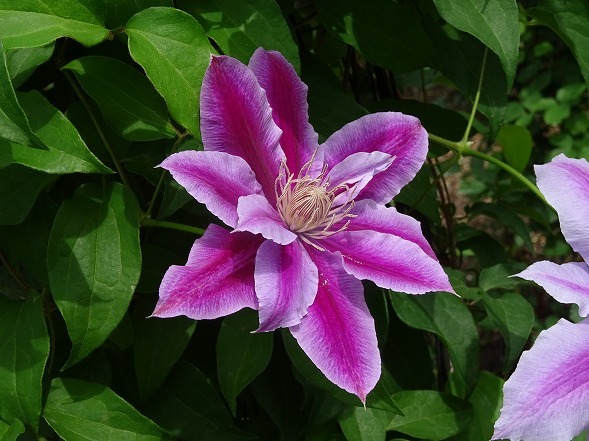 b0299042_10580133.jpg