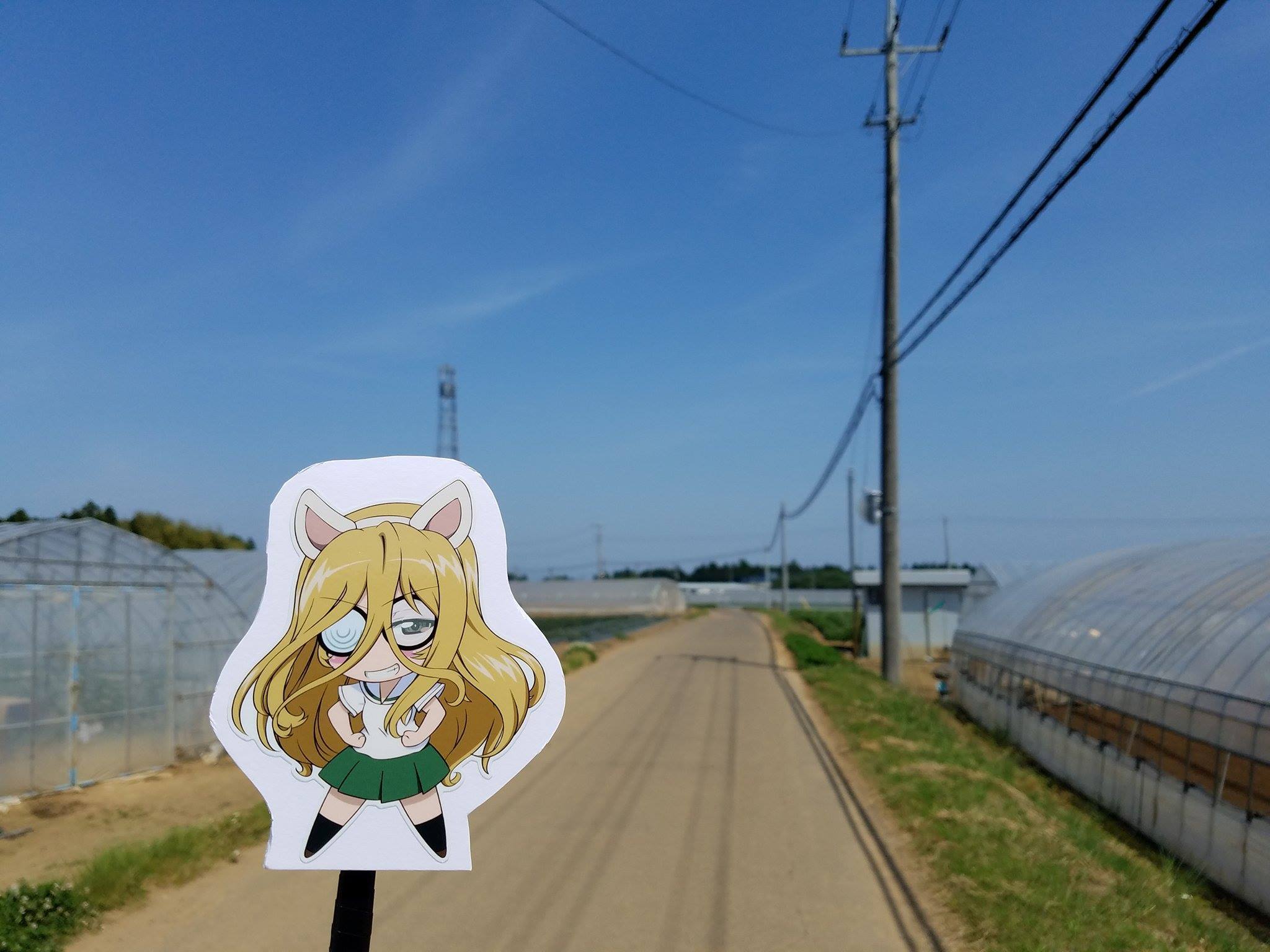 【季節・数量限定】茨城の旬をお届け！ 鉾田市（旭）のガルパンメロンセット！ part 2_a0283448_20325847.jpg