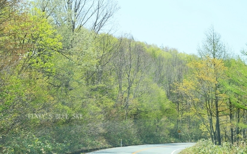 c0145250_09265077.jpg