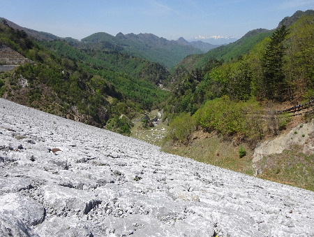 e0172950_2047566.jpg