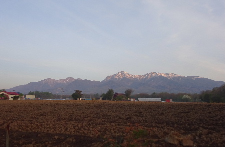 e0172950_78475.jpg
