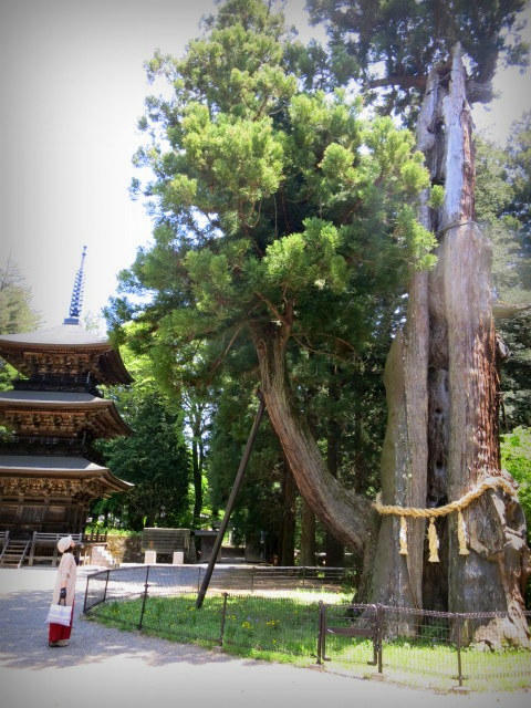 f0236260_03354135.jpg
