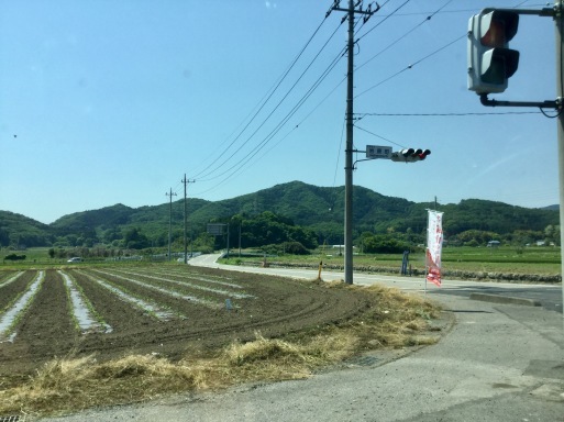 アイラブ  小山　大谷の里・平和観音、御止山（おとめやま）_a0053063_14521839.jpg