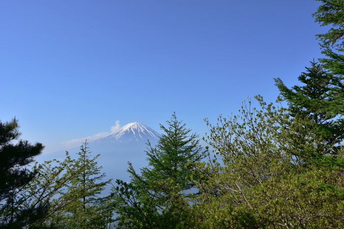 a0307264_17304889.jpg