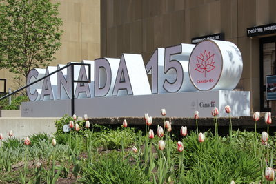 Canada 150周年記念のチューリップ_c0353373_02173041.jpg