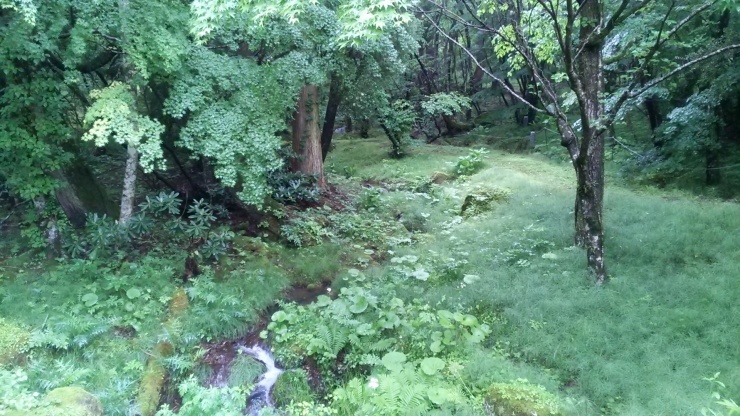 c0212083_17211231.jpg