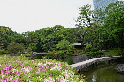 天王寺公園  慶沢園_c0229483_10331810.jpg