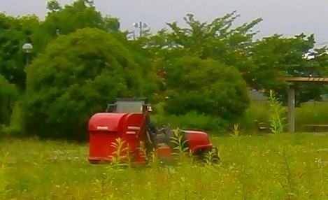 e0366084_14241357.jpg