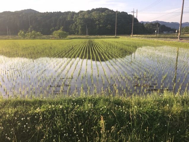 恵みの雨！_f0379286_19204518.jpeg