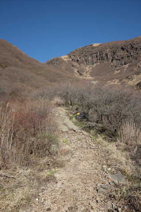 b0339488_16074560.jpg