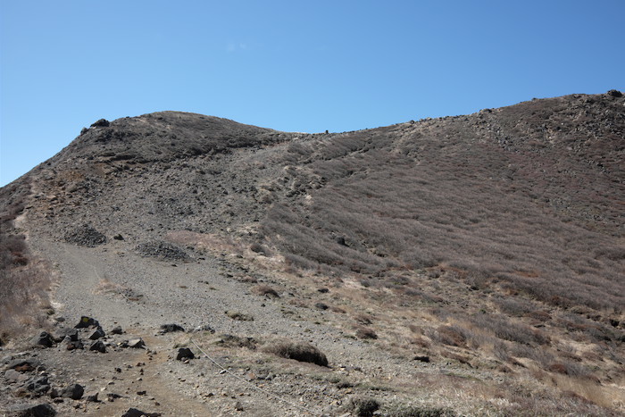 b0339488_16080963.jpg