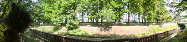 e0176691_19284165.png