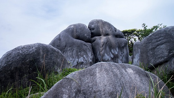 平尾台　～自然が生んだ珍しい風景～_e0176993_06354507.jpg