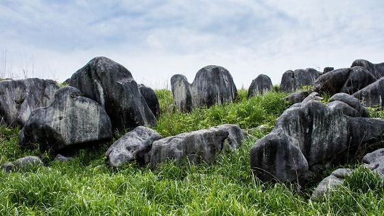 平尾台　～自然が生んだ珍しい風景～_e0176993_06354536.jpg