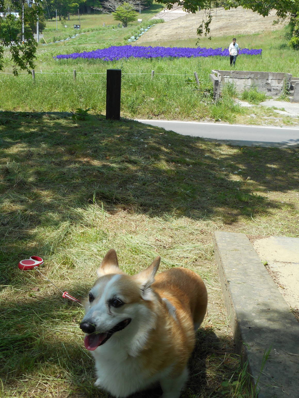 f0075595_01403872.jpg