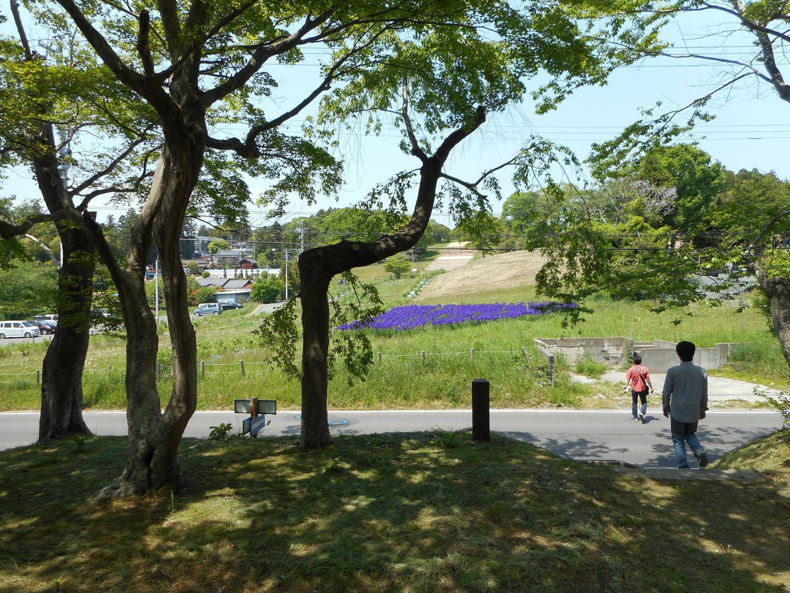 f0075595_01410145.jpg