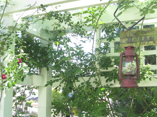 c0152002_07253190.jpg