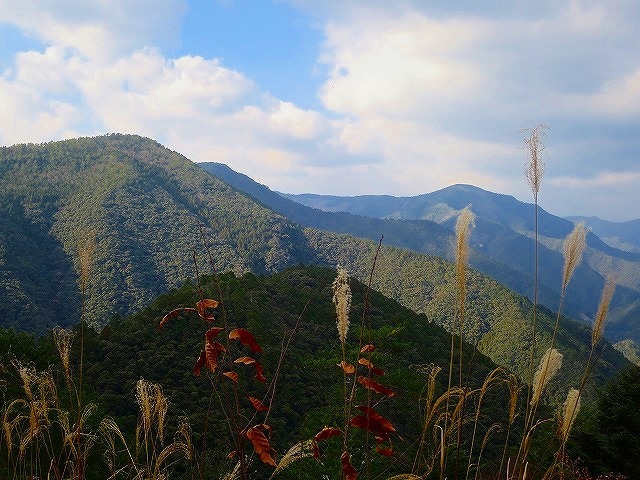 d0360104_00233480.jpg