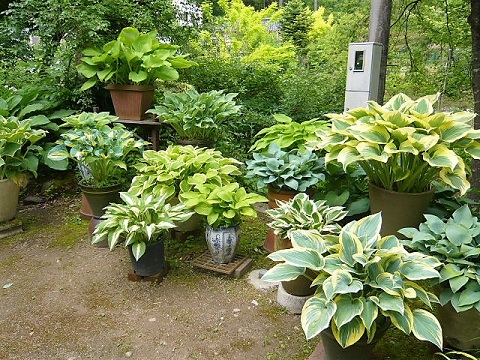 c0112206_21532912.jpg