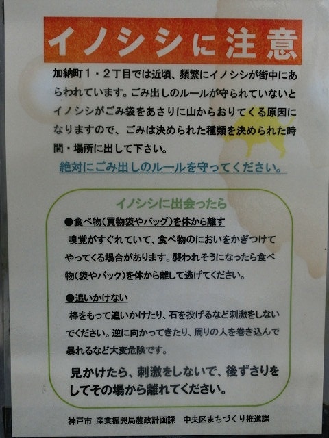 おしゃれな神戸異人館街だが、すぐ近くで「イノシシ注意」には驚いた_f0141310_07151525.jpg