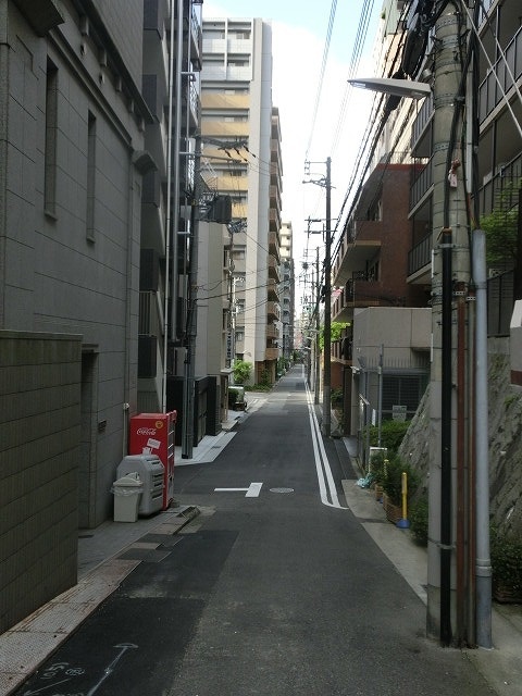 おしゃれな神戸異人館街だが、すぐ近くで「イノシシ注意」には驚いた_f0141310_07154746.jpg