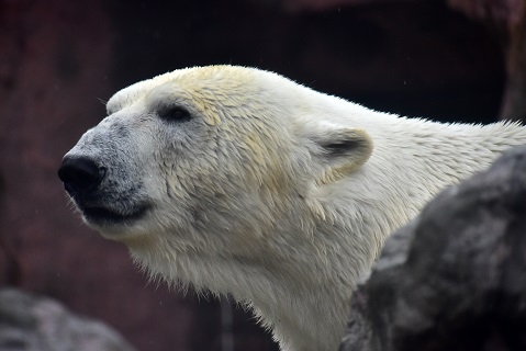 a0151913_2013674.jpg